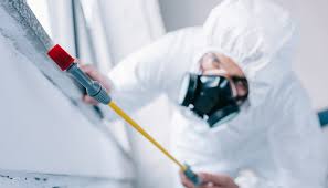 Pest Control for Hotels in Coushatta, LA